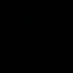 Meet your Posher, Jazmine